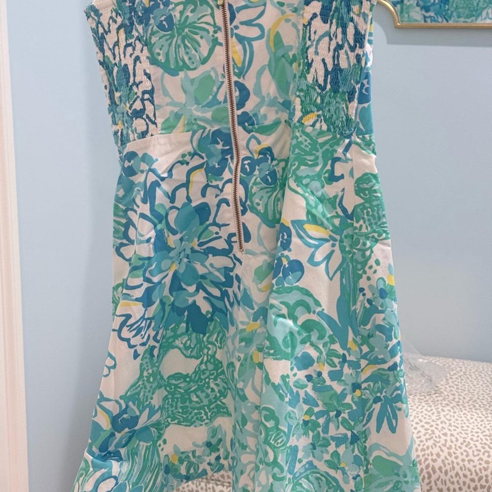 Lily Pulitzer Dress - Picture 4 of 4